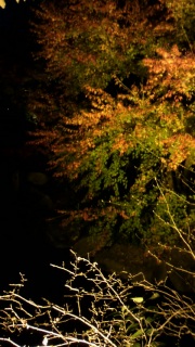 2010/11/26