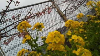 2013/03/03