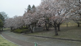 2013/04/20