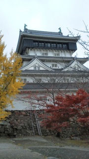 2013/11/29