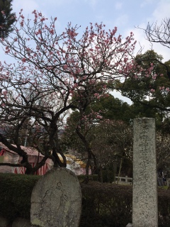 2016/02/27
