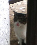 2006/11/22