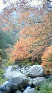 2008/11/09
